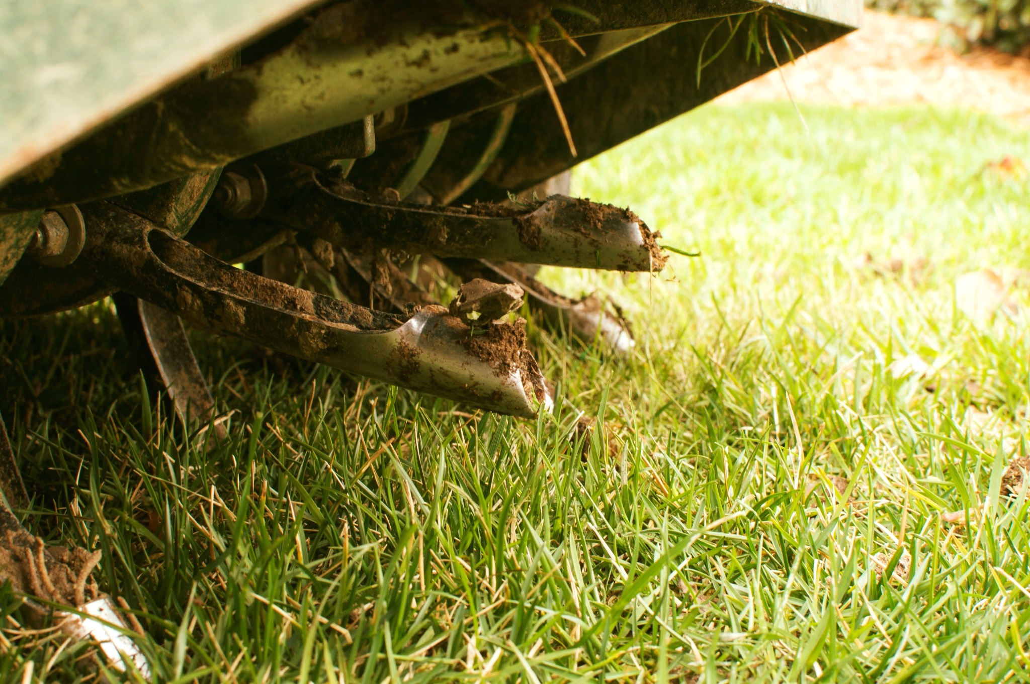 🌱 Book Expert Lawn Aeration Services Now 🌱