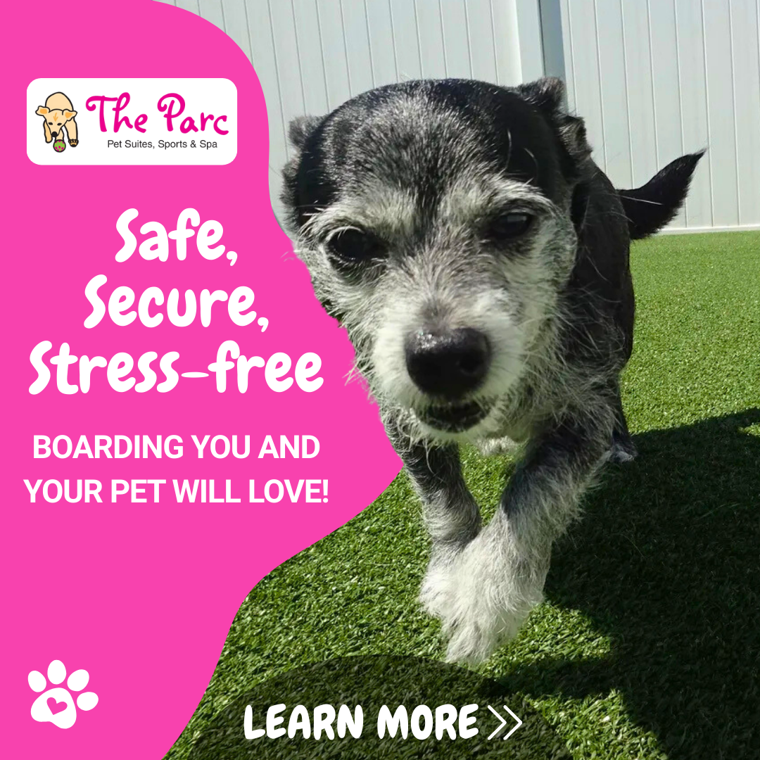 The Parc Pet Suites, Sports & Spa GoHighLevel Resellers ad creative