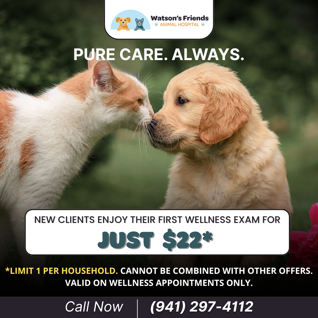 $22 Cat or Dog First Exam!