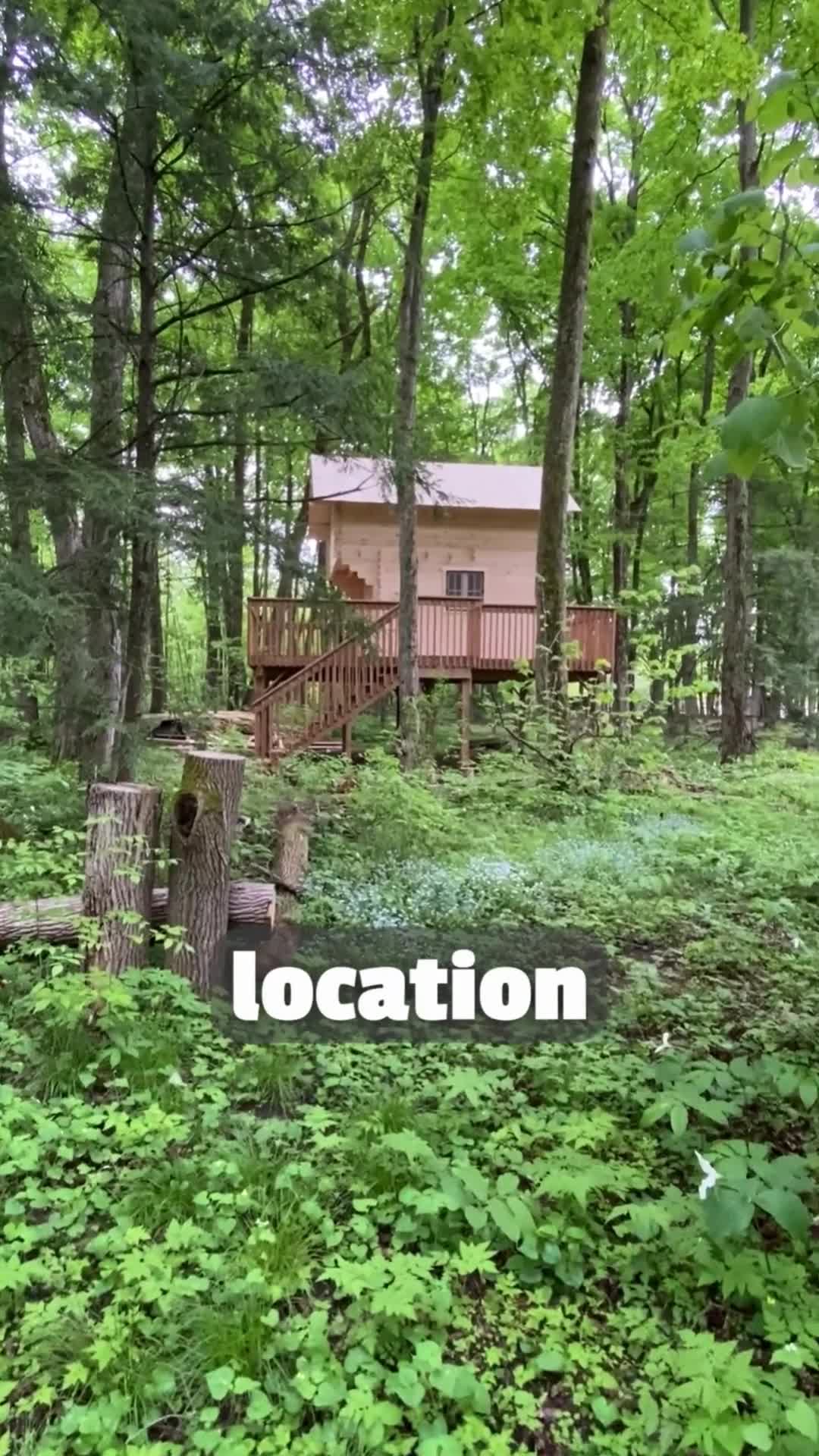 Sawmill Structures General Contractor ad creative