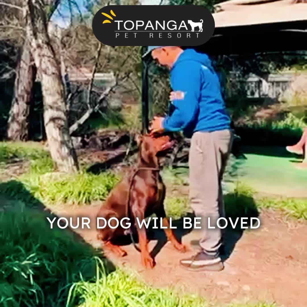 Your Pet Deserves the Best—Care and Training All in One Place!