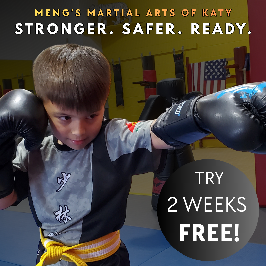 Meng's Shaolin Wing Chun Kung Fu of Katy Martial Arts ad creative