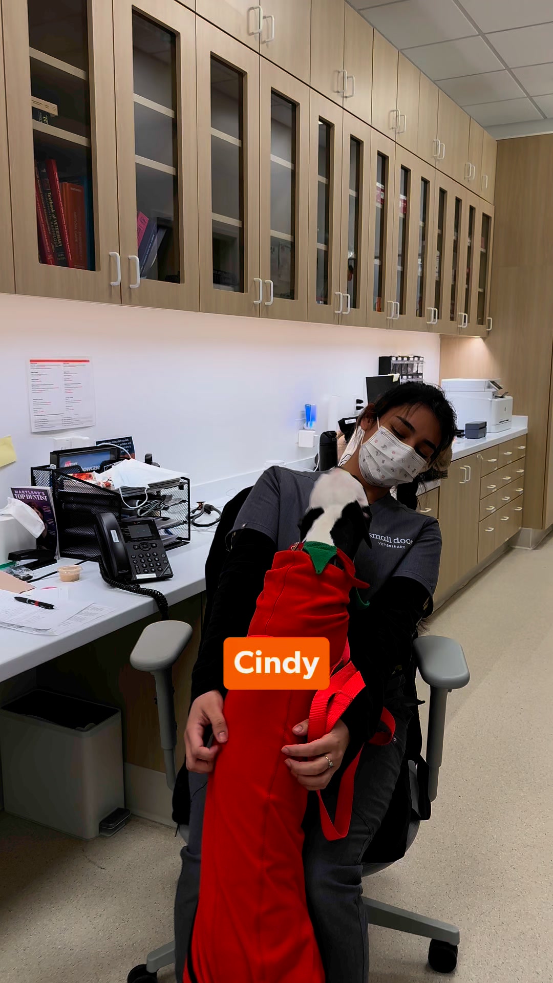 Exceptional Vet Care | Brookline & Newton Centre