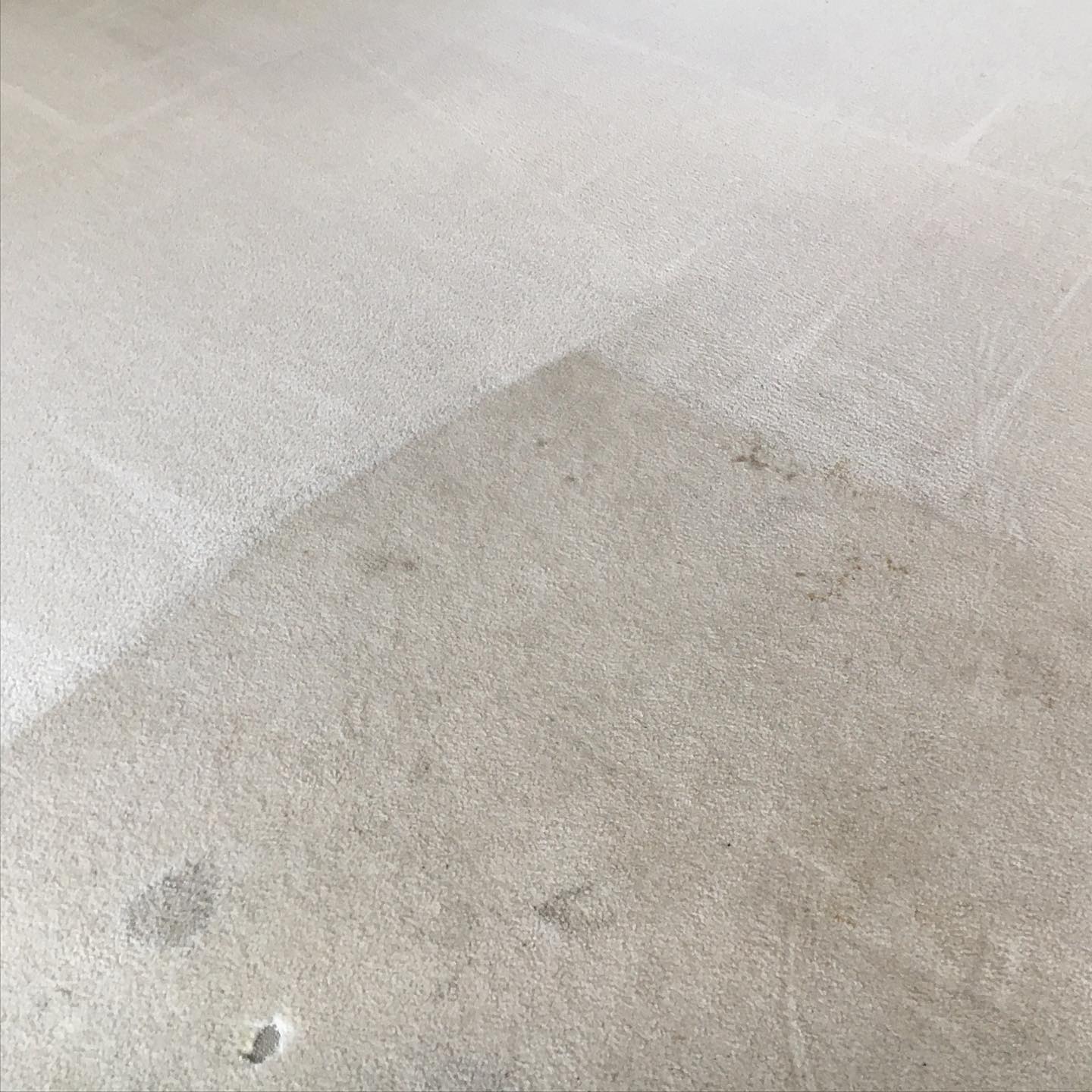 Residential and Commercial Carpet Cleaning Services