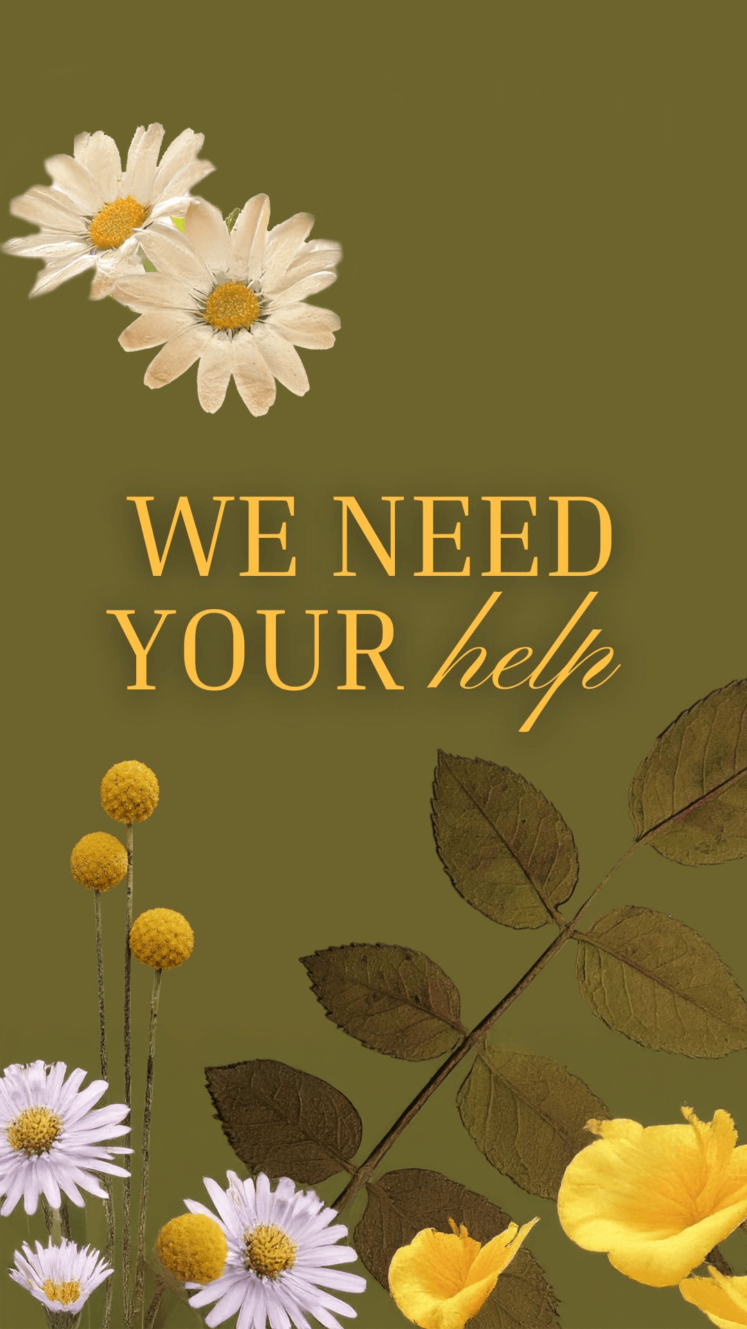 Holdship Family of Funeral Homes And Cremation Services Funeral Home ad creative