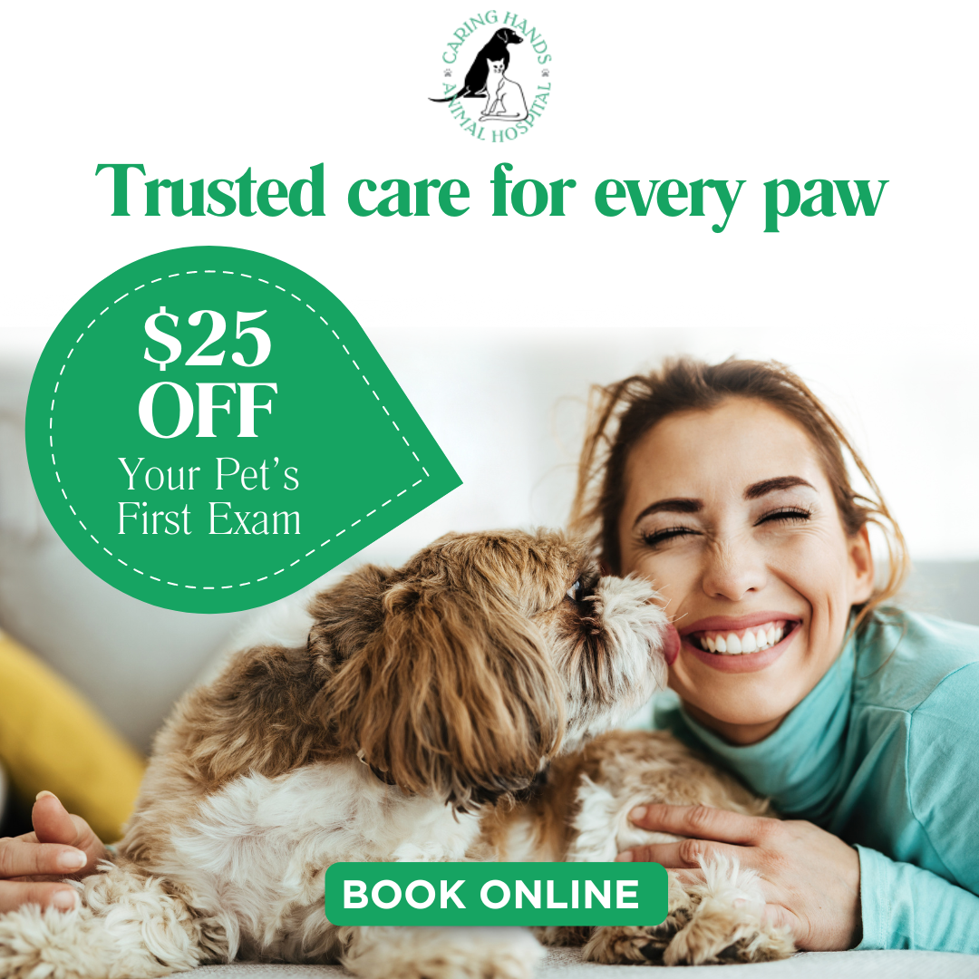 🐾 $25 OFF Your First Vet Visit!