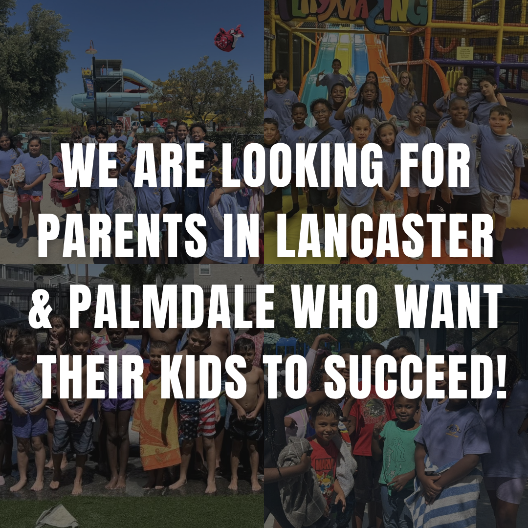 Evo Tae Kwon Do Martial Arts ad creative