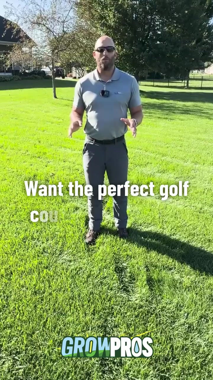 Get a Golf Course Lawn in 3 Steps