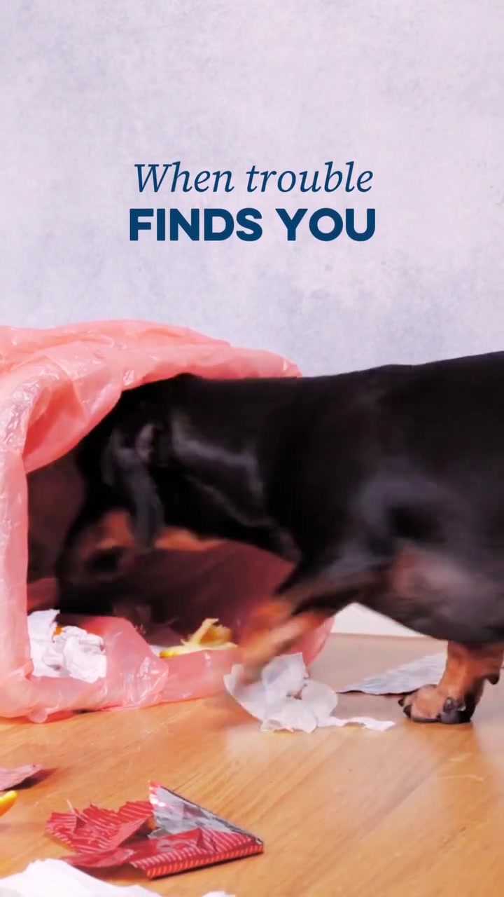 Urgent Pet Care Now Open!