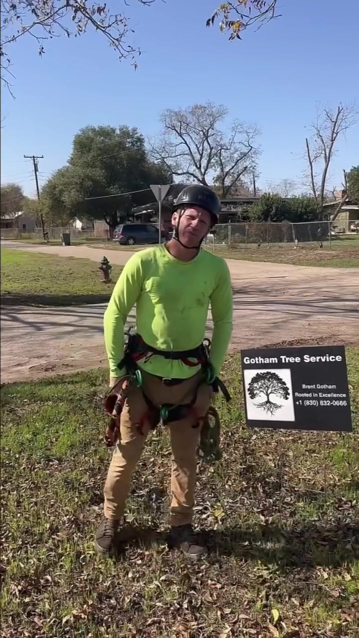 Get Your Free Quote Today >>