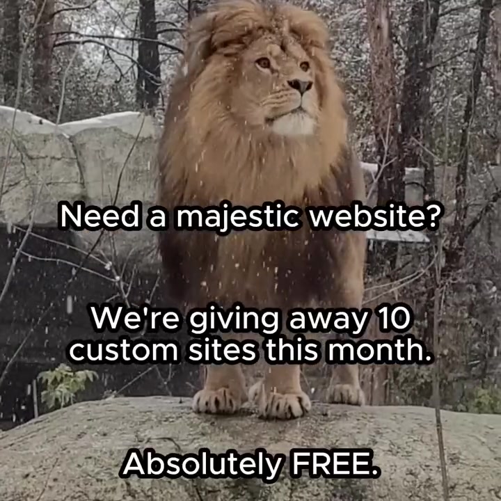 Apply for a Free Website Build