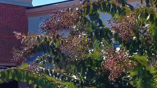 Transform Your Smile