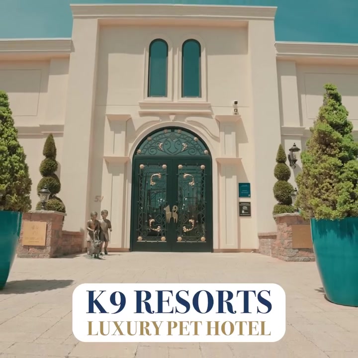 State of the Art Pet Care