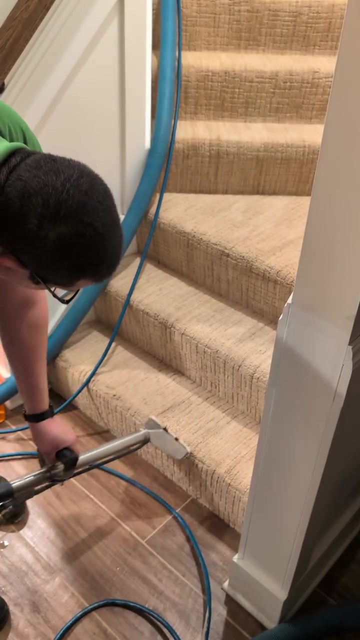 Top notch carpet cleaning