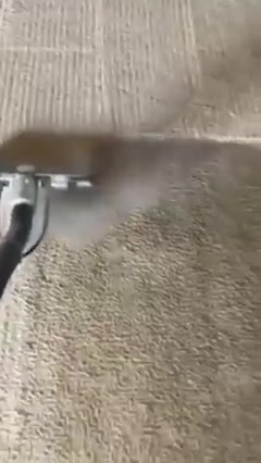 SAVE $80 on Carpet Cleaning for 3 Rooms.