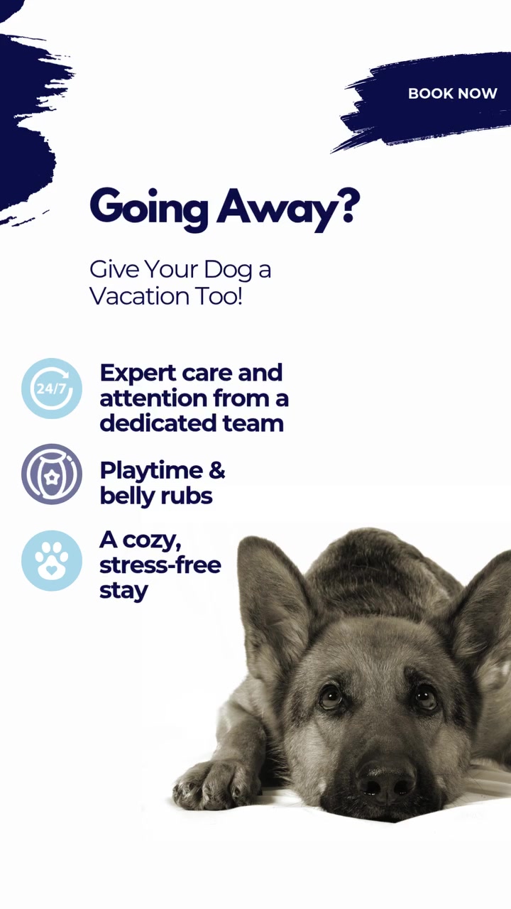 📞 15% Off Your Dog’s First Boarding Stay 🎉