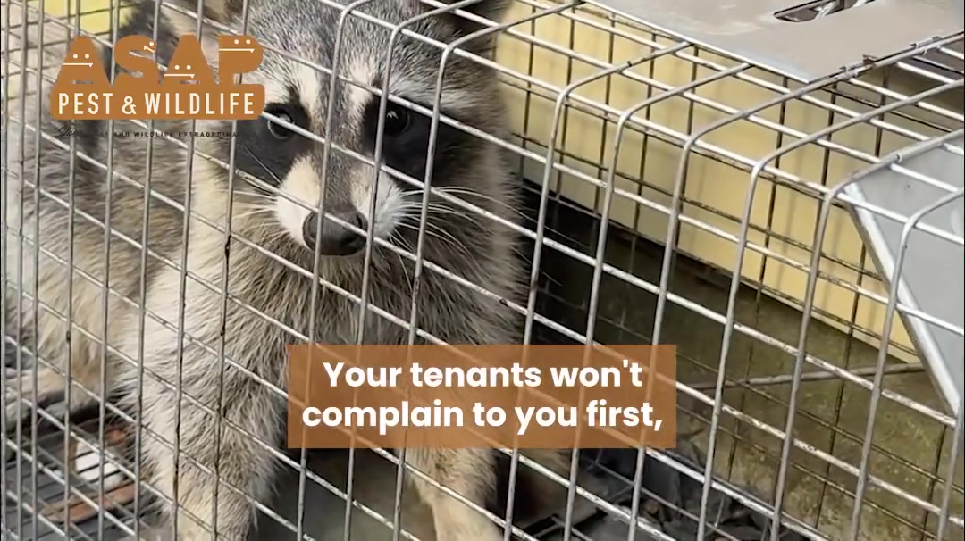 Trusted by Major Atlanta Brands