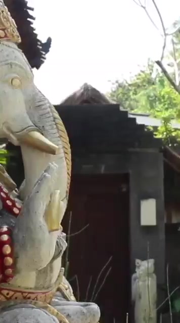 BALI YOGA RETREATS