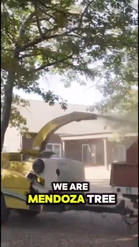 Mendoza Tree Service