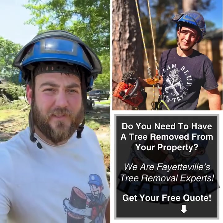 Tree Services + Free Wood Removal | Fayetteville, NC.