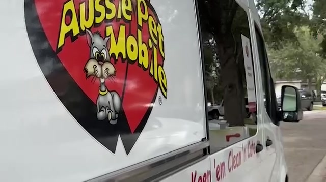 Don't Wait! Book Your Appointment Now!