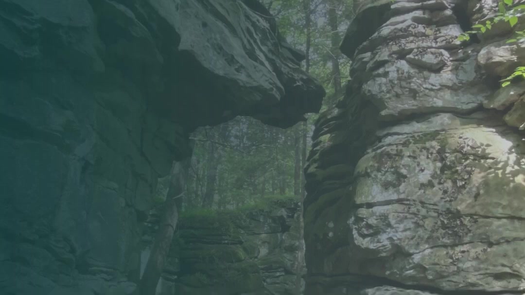 LASIK Savings You Can See — $1,000* Off