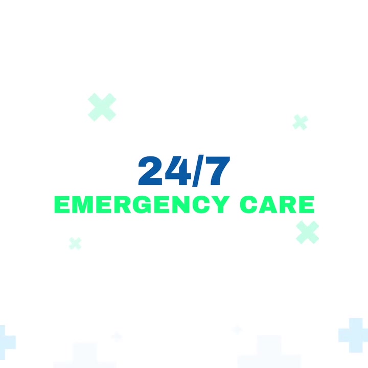 🚨 24/7 Emergency Vet — Just Minutes Away