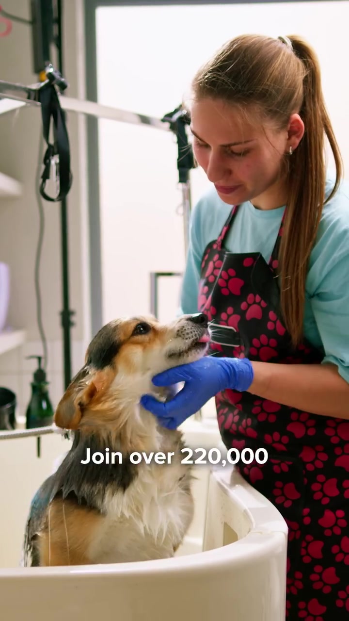 Simplify Your Pet Grooming Business 🐾💼