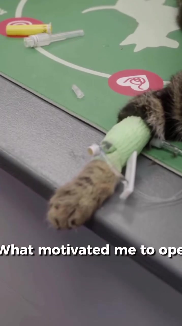 Free Exams for One Year plus more perks!