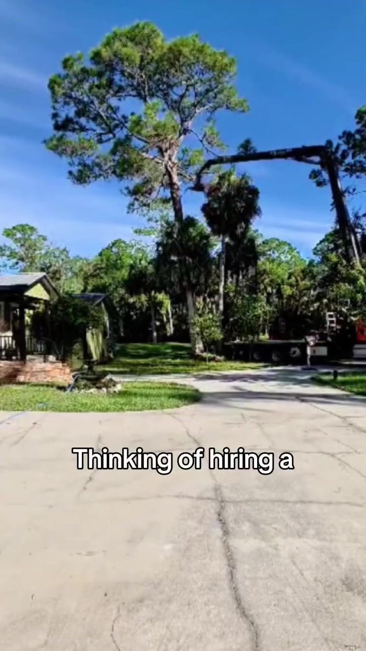 Professional Tree Trimming