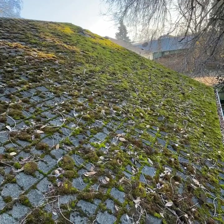 Autumn Gutter Cleaning Special
