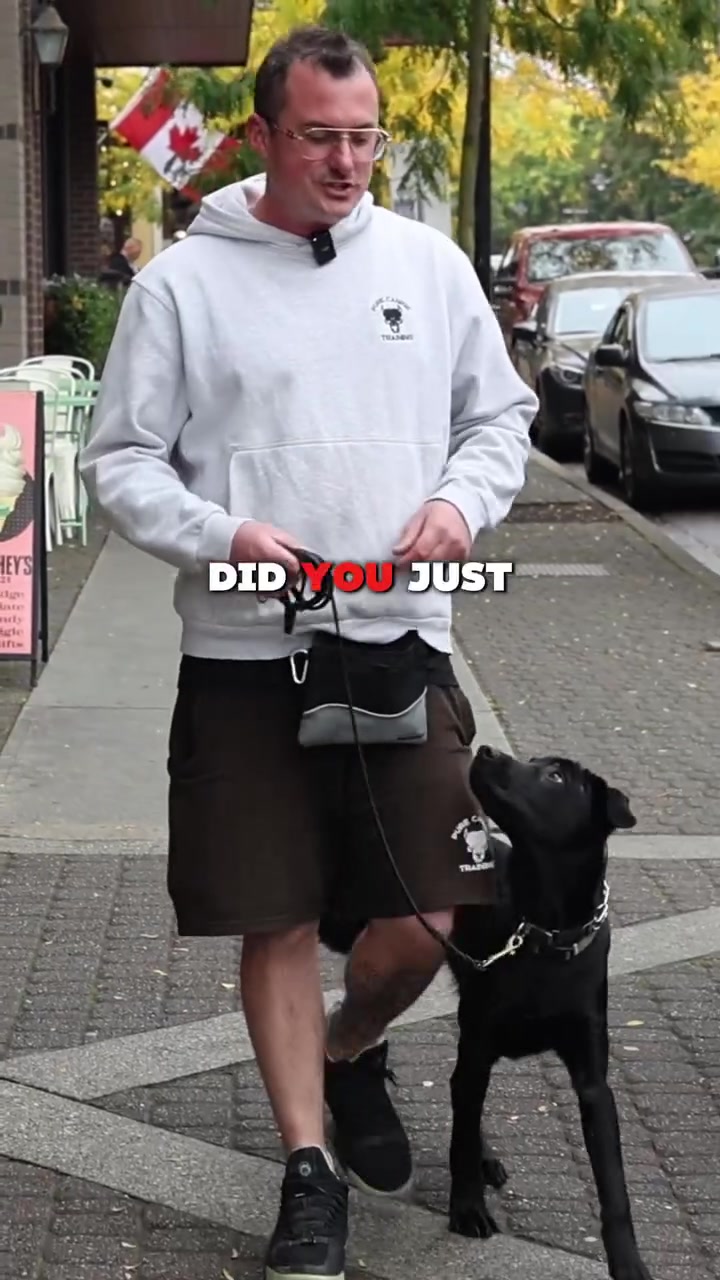 5,000+ Students Worldwide ⭐⭐⭐⭐⭐