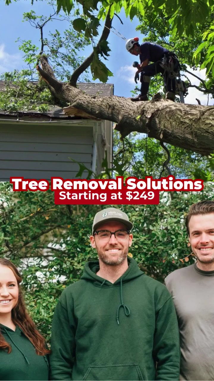 Tree Removal: Starting at $249