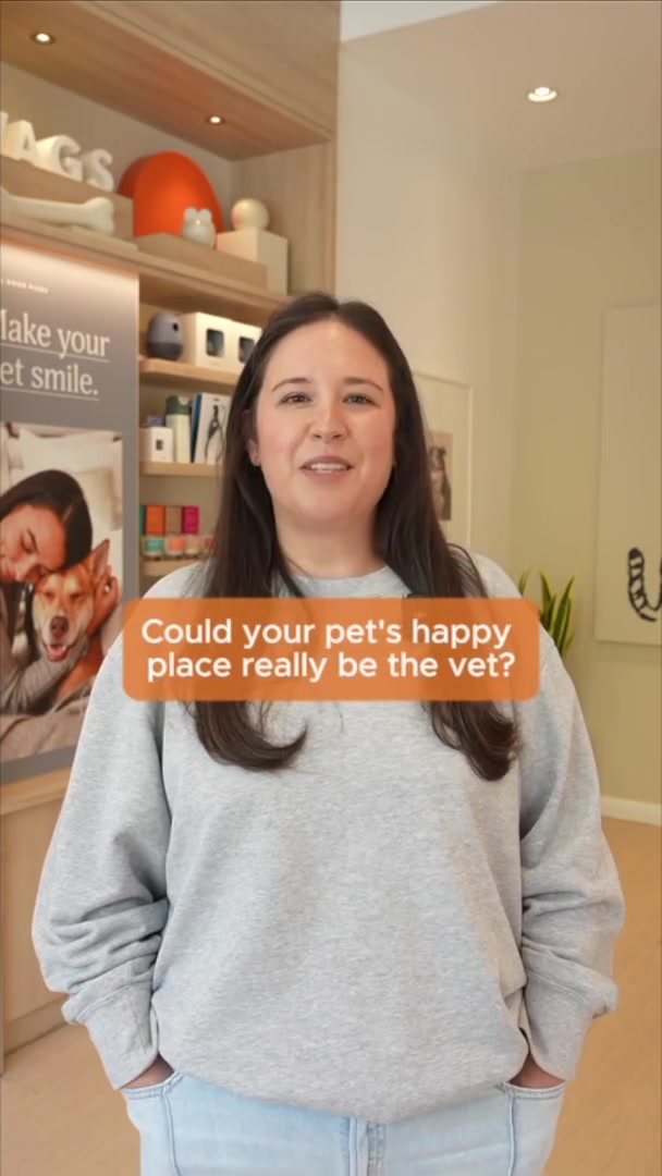 Top-Rated Vet Care in Brookline & Newton Centre