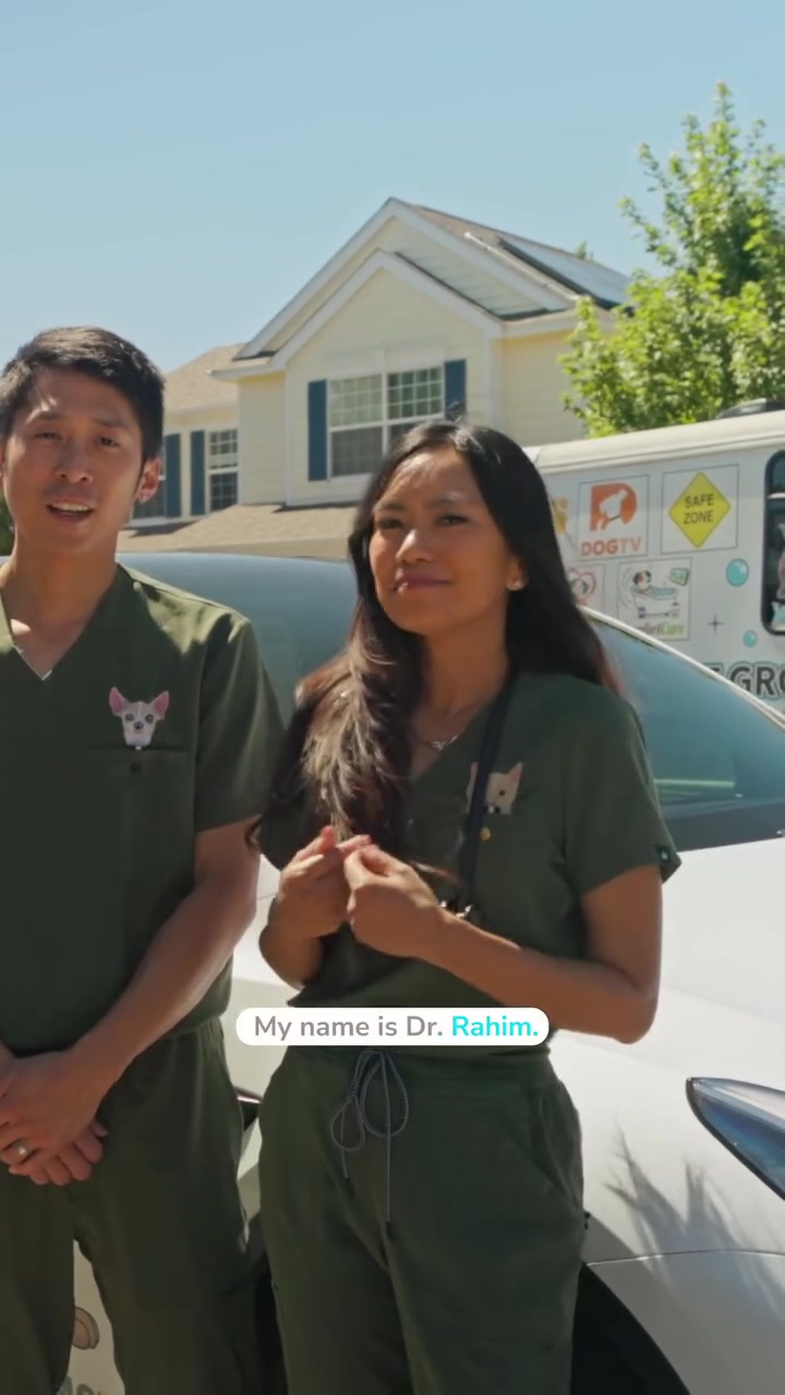 Get your dog the 🌈 experience!