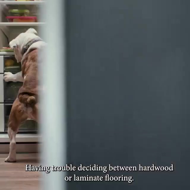 Discover Unmatched Durability and Style with Mohawk RevWood Laminate Flooring!
