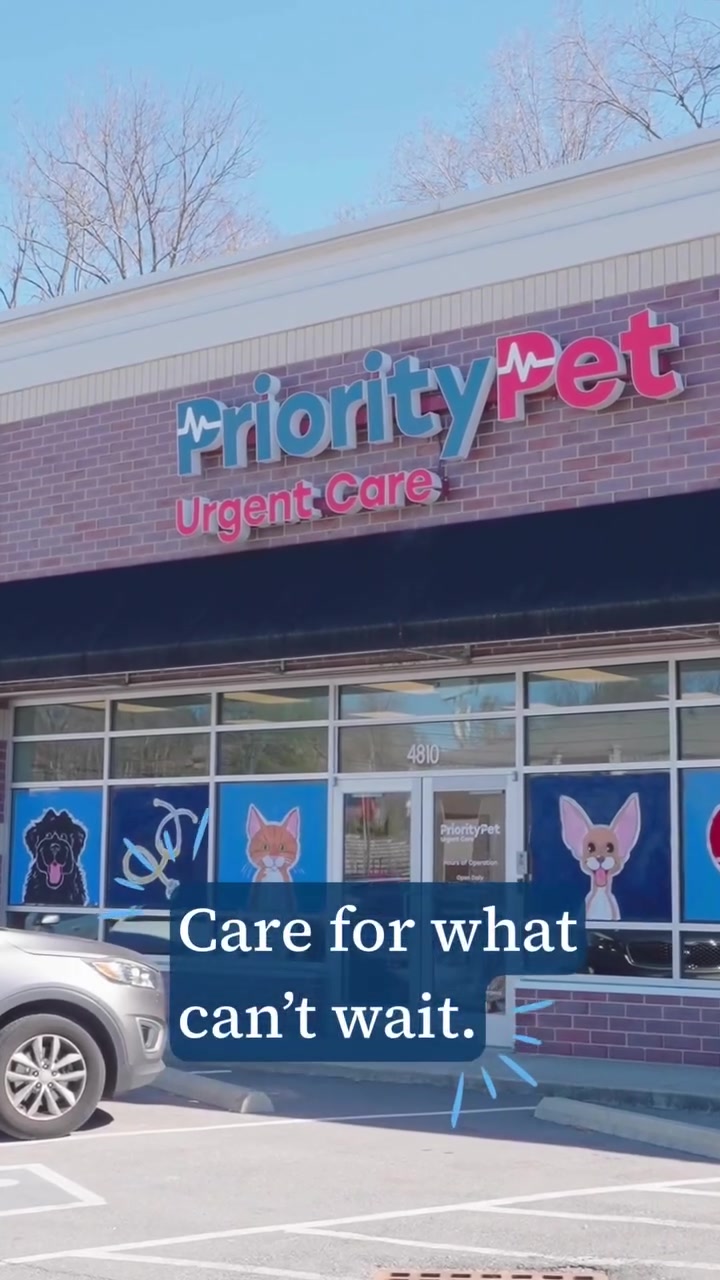 Urgent Pet Care Now Open!