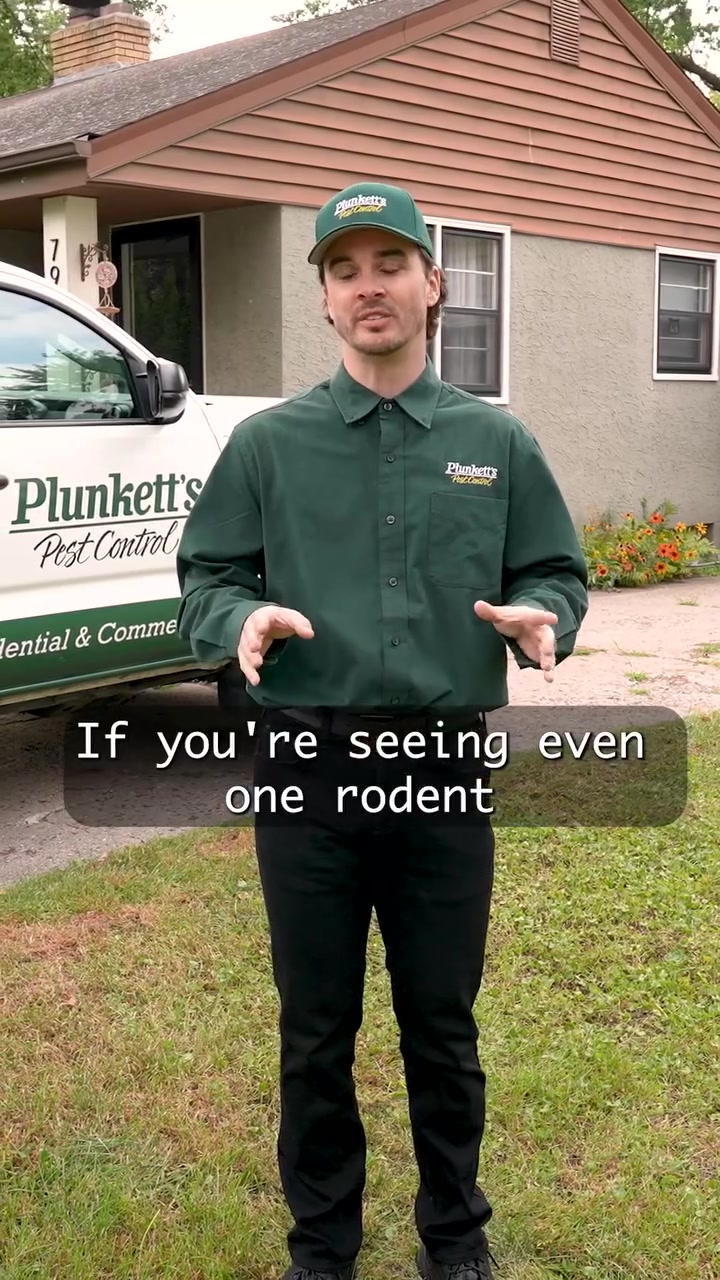 Say Goodbye to Rodents