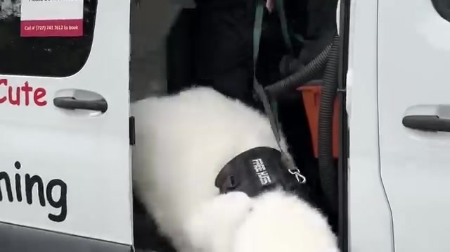 Don't Wait! Book Your Appointment Now!