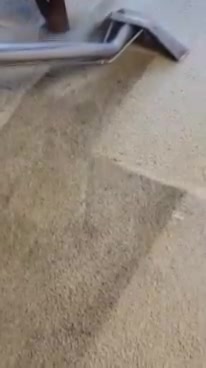  $119.99 Carpet Special