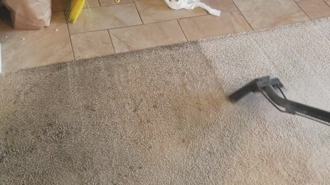 Image Carpet Cleaning 956-333-7116 Carpet Cleaning ad