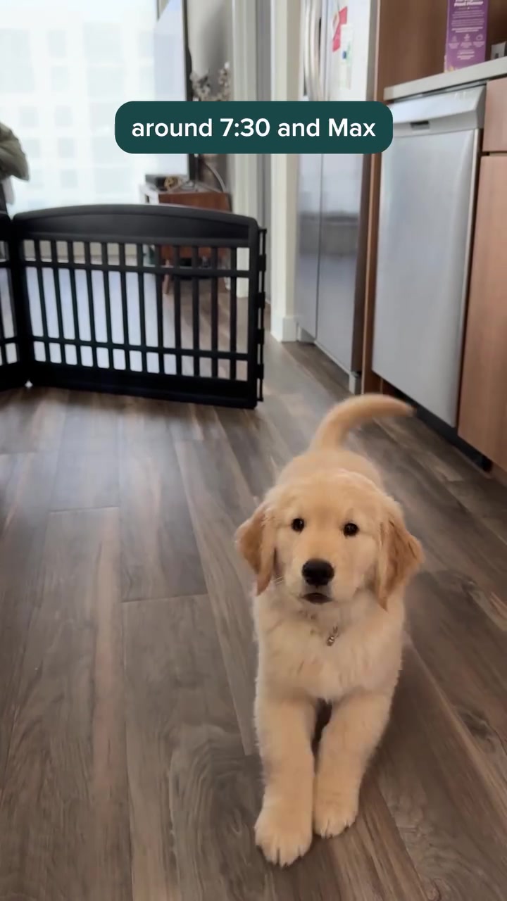 Join SplootPack™ and Save!