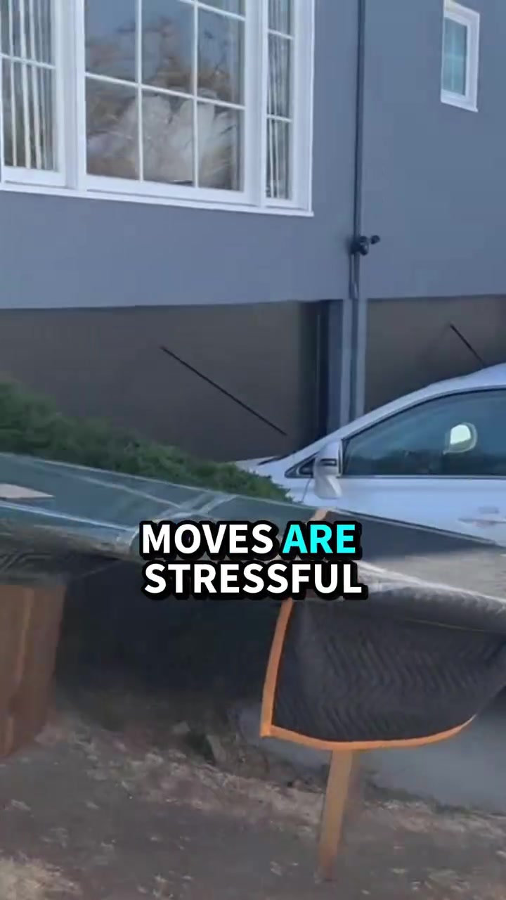 Enjoy a Worry-Free Move 📦