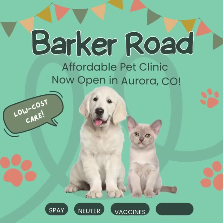 Safe, Reliable Spay & Neuter