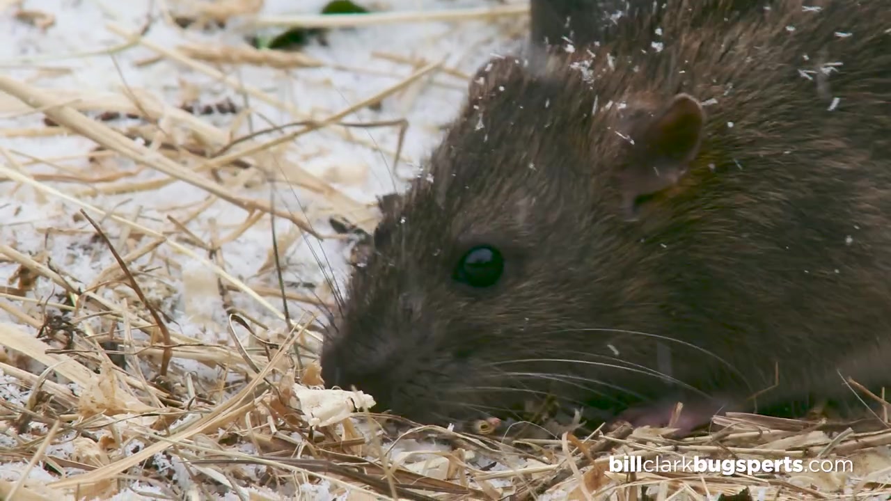 We've Got the Answers