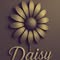 Daisy beauty studio