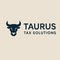 Taurus Tax Solutions