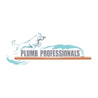 Plumb Professionals LLC