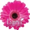 Lutey's Flower Shop
