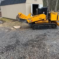 Viking Stump Removal